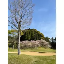 諸星 海