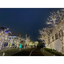 あおい