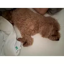 美波 あいか