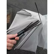 サラ
