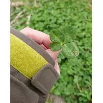 ひな