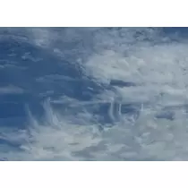 えりか