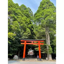 まいか