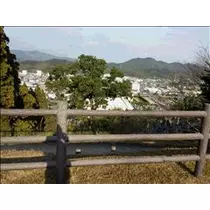 桃瀬 百華