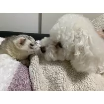 ちなつ