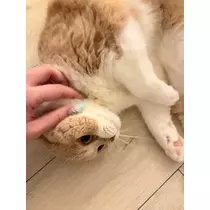 れいか