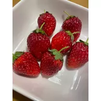 あいか