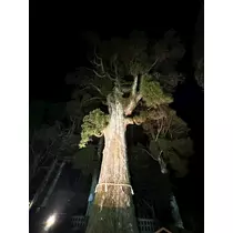 あ