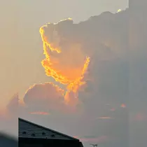 ひより
