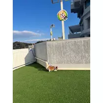 あいら