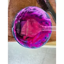 立華 碧