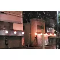 紫音