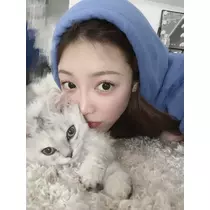 七星 舞冬