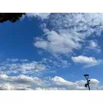 成海 まお