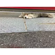 あいる