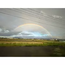 なお