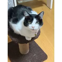 結城 かなの