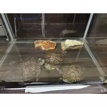 エミ （スタッフ）