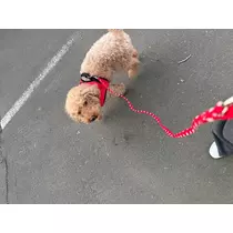 美波 あいか