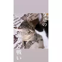 薫