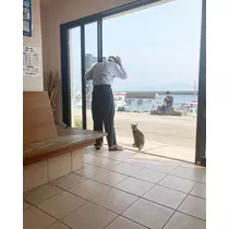 ねね