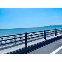 美月