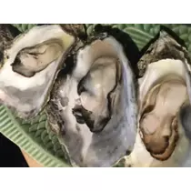 蓮見 リア