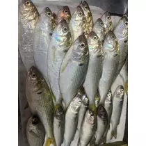 かの