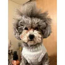うづき ふうか