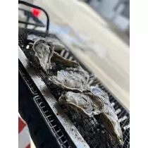 桐島 りゅう