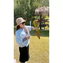 なっちゃん