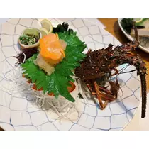 小川 真央