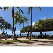 愛羽 仁美