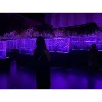 響音 涼