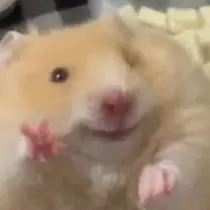 本宮 らら