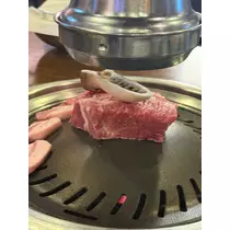 西園寺 ゆきみ