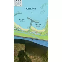 大尻 桃