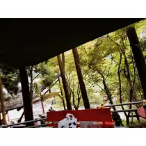 荒木 ナツミ