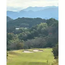 ひな