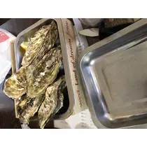 宝條 夏恋