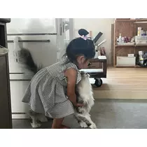 ねね