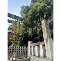 つばき