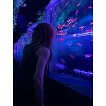 響音 涼