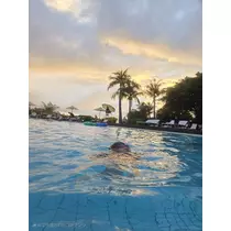 あおい
