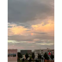黒川 すみれ