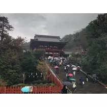 未来