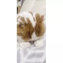れみ