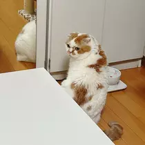 れみ
