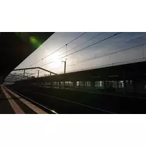 ひな