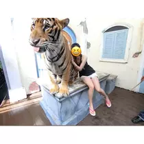 しゅり